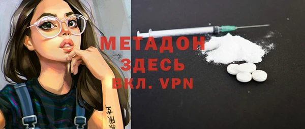 индика Горнозаводск