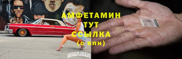 индика Горнозаводск