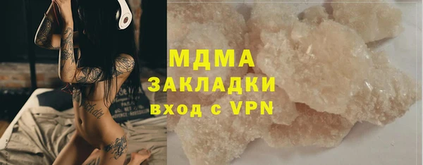 индика Горнозаводск