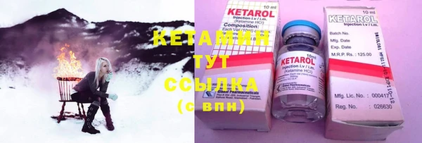 индика Горнозаводск