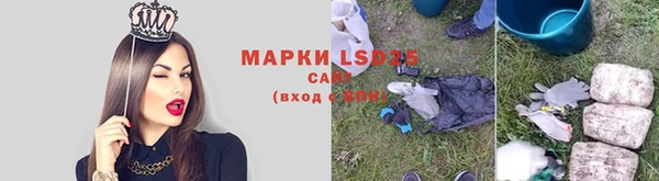 индика Горнозаводск