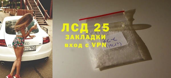 индика Горнозаводск