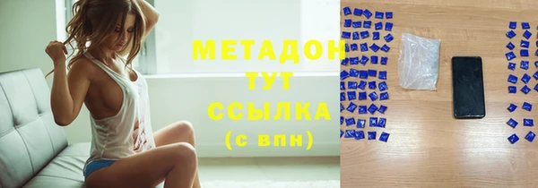 индика Горнозаводск