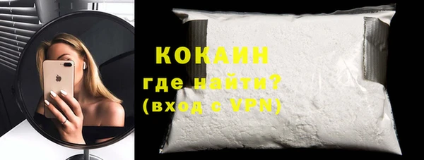 индика Горнозаводск