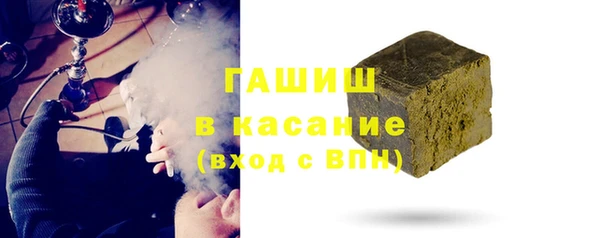 индика Горнозаводск