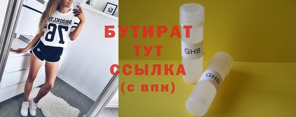 индика Горнозаводск