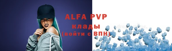 индика Горнозаводск