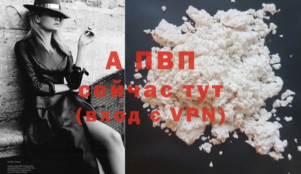 индика Горнозаводск