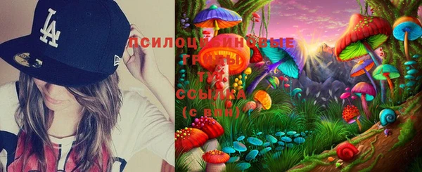 дмт Горно-Алтайск