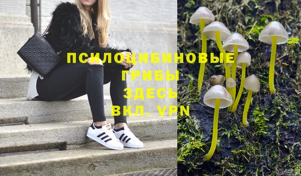 индика Горнозаводск