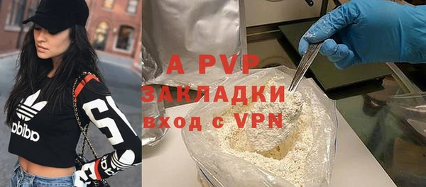 индика Горнозаводск
