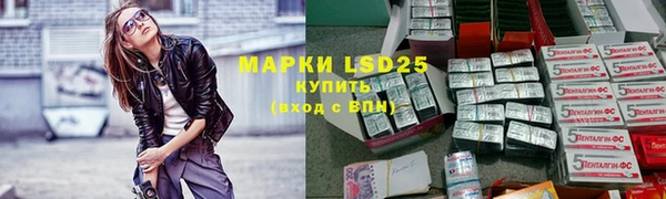 a pvp Гусев